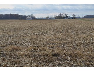 Property photo 33 - LAND AUCTION - 276.5+/- ACRES OFFERED IN 5 TRACTS IN EAST ALLEN COUNTY